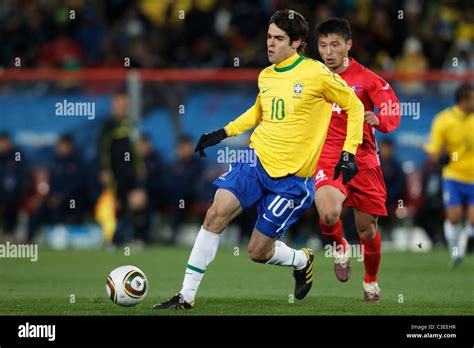 brazilian kaka  res stock photography  images alamy