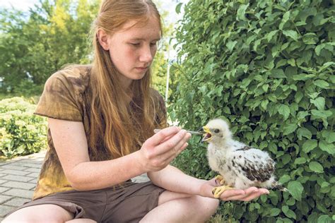 Neuer Gast in der Wildvogelauffangstation Dresden Was bist Du denn für