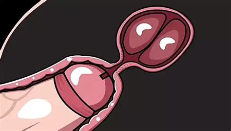 Anal Ejaculation Animation Hentai Porn Feat Animategolden XHamster