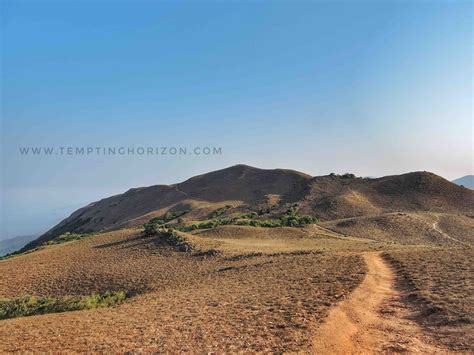 A full day trekking to mandalpatti- coorg - TEMPTING HORIZON