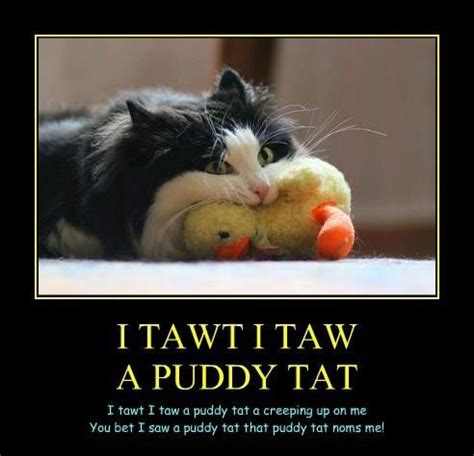 I Tawt I Taw A Puddy Tat Lolcats Lol Cat Memes Funny Cats