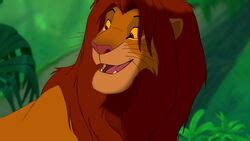 Симба | Disney Wiki | Fandom