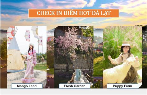 Tour Check In Nh Ng I M Hot L T Ng Y Gi T T Nh T Eholiday Vn