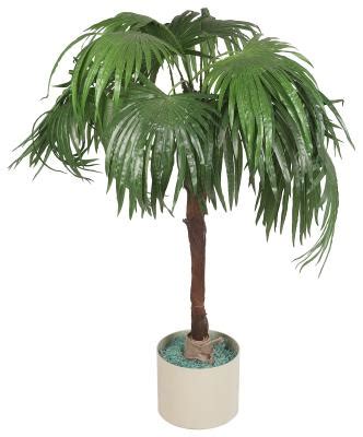 Care for Potted Palm Trees | Home Guides | SF Gate