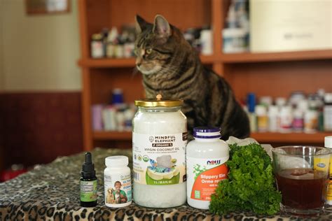 How to Stop Bad Breath in Dogs: Effective Vet-Approved Remedies for