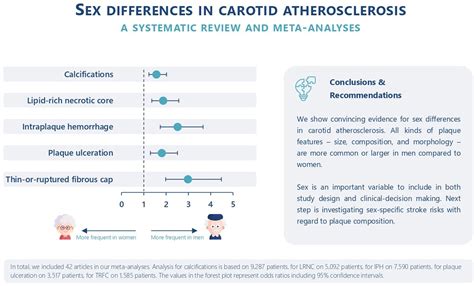 Sex Differences In Carotid Atherosclerosis A Systematic Review And Meta Analysis Stroke