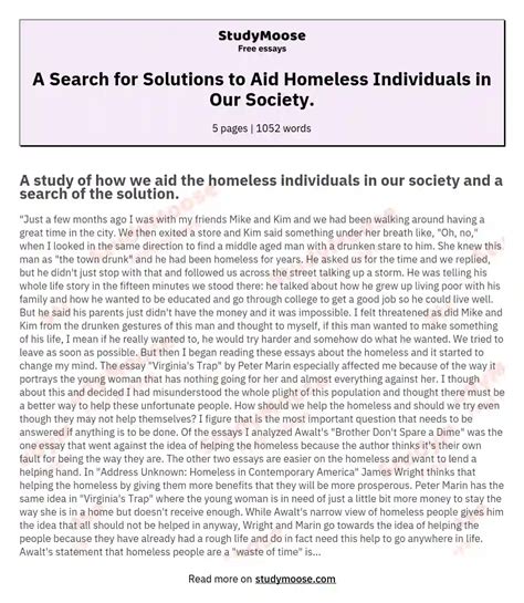 A Search For Solutions To Aid Homeless Individuals In Our Society Free Essay Example