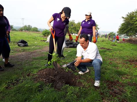 plantar arbol Infórmate y más