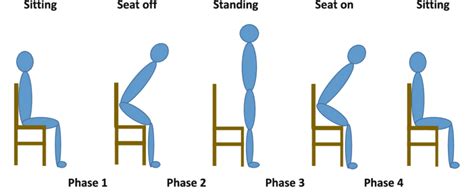 Phases Of The Sit To Stand Movement Download Scientific Diagram