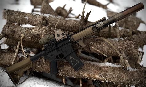 custom ar build rgunporn