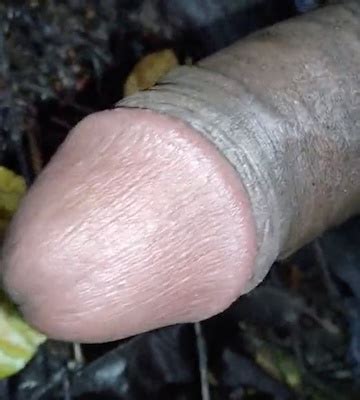 Top Gay Amateur Porn Video Creators Of Homemade Sex 9 XHamster