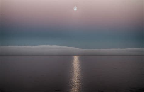 The Fog And The Full Moon