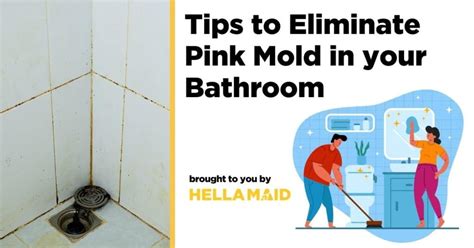 How to Eliminate Pink Mold in the Bathroom