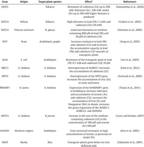 Different genes used in transgenic plants. | Download Scientific Diagram