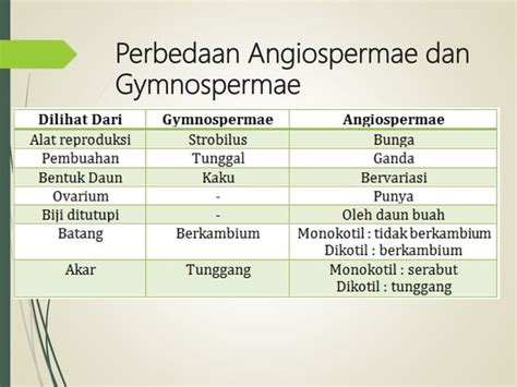 Spermatophyta Ciri Dan Klasifikasi Ppt