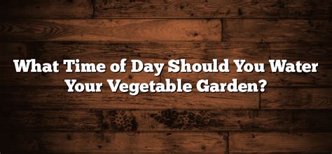 What Time Of Day Should You Water Your Vegetable Garden Inter Culturalu