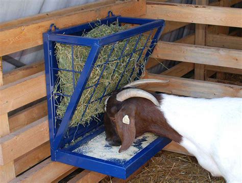 Best Goat Hay Feeder Klimbuddy