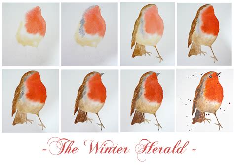 how do you bird itching step by step 9