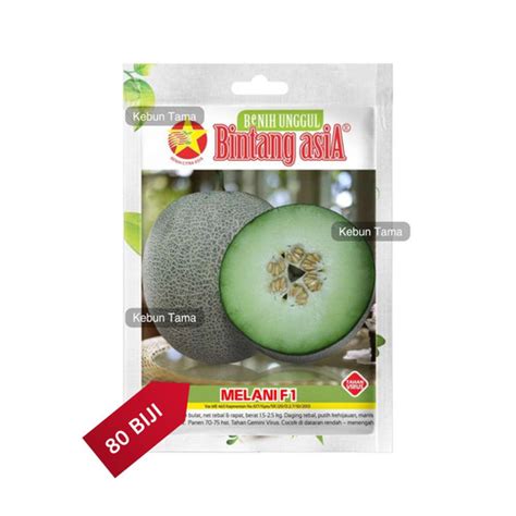 Jual Benih Melon Hibrida Melani F Bintang Asia Kab Bogor Kebun