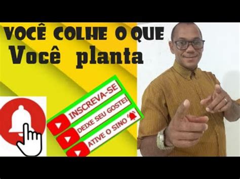 Voc Colhe O Que Voc Planta Youtube