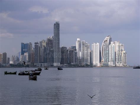 Horizonte De Panam De La Ciudad Del Puerto Deportivo De La Isla Del