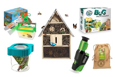 Best Kid Friendly Bug Catcher Kits And How To Make Your Own Bbc