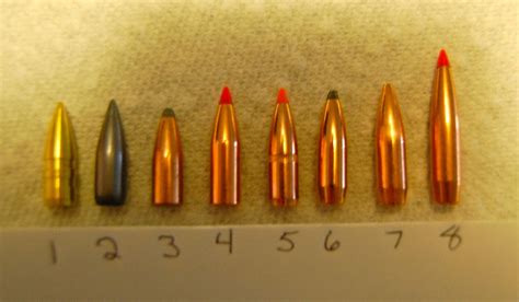 Angry Peasants 22 Caliber Bullet Options