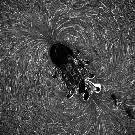 Amazing Images Under The Microscope That Reveal Invisible To The Naked Eye Universe Pics