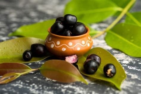 Health benefits of java plum