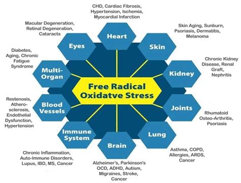 Oxidative Stress The Beginning Of Disease Ionic Alliance Group