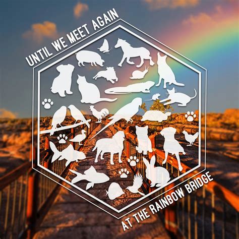 Creating Personal and Timeless Tributes with Molnar Funeral Services 5