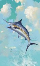 Blue Marlin Free Stock Photo - Public Domain Pictures