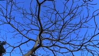 Katya Sambuca Porn Videos Porn Star Sex Scenes Xhamster