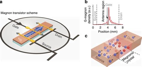 Schematic Of The Magnon Transistor Spatial Distribution Of The Gate