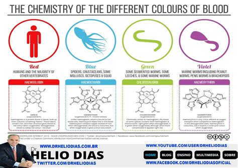 Cores De Sangue E Significado - A Química das Diferentes Cores do Sangue! - IVEPESP