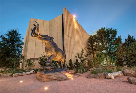 Denver Museum of Nature and Science Exhibitions | VISIT DENVER