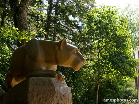 William Ames Photography Penn State Photos Nittany Lion Statue In June