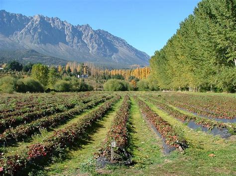 Foto De El Bolsón Argentina