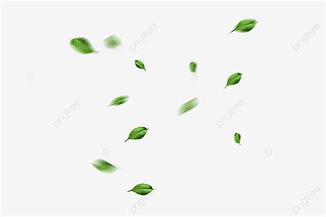 Hojas Png Hojas Png Hojas Png Flotantes Planta Png Y Psd Para