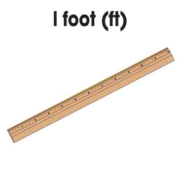 Free foot long printable ruler - billobook