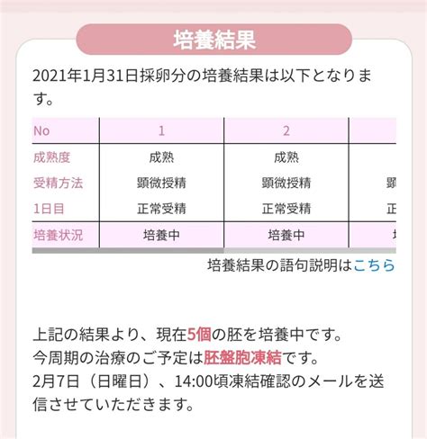 採卵後 1日目培養結果 43歳の不妊治療（体外受精）記録