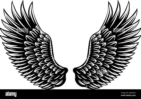 Eagles Outstretched Wings Black And White Stock Photos And Images Alamy
