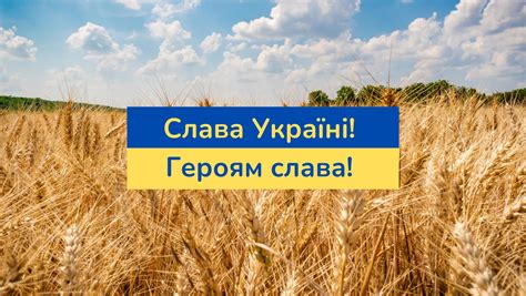 Ну что ж, продолжаем Вас знакомить с велосипедными цепями бренда KMC и ...