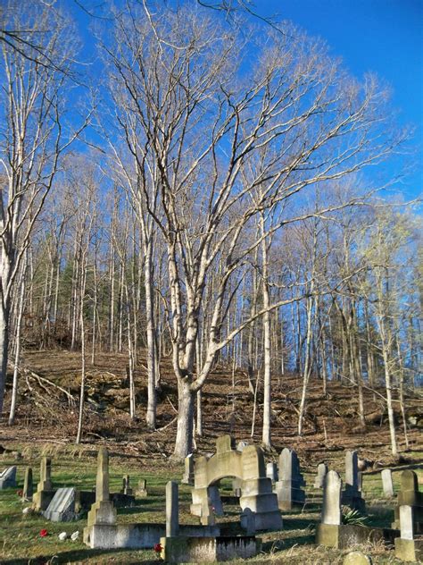 Wayne Cemetery in West Virginia - Find a Grave Cemetery