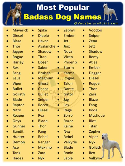 popular  unique dog names   badass pet
