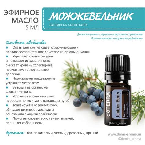 Эфирные масла доТЕРРА / doTERRA — Эфирные масла doTERRA | Doterra ...