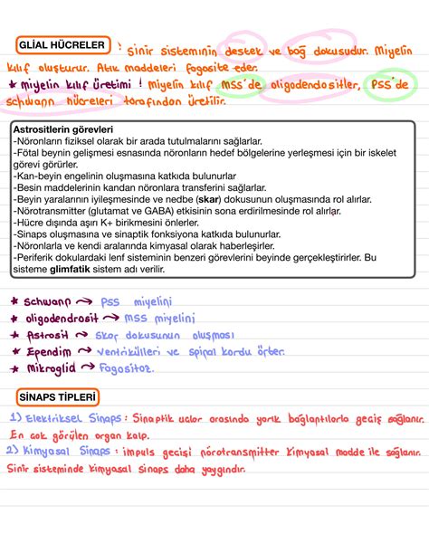 Solution Sinir Sistemi Ve Duyu Organlar Fizyolojisi Nervous System