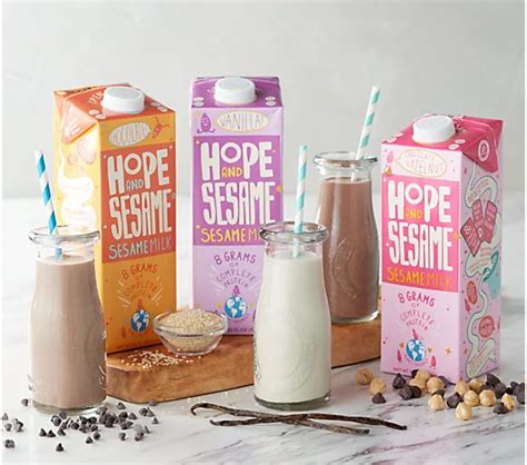 Hope And Sesame 6 32 Oz Cartons Of Flavored Sesame Milk