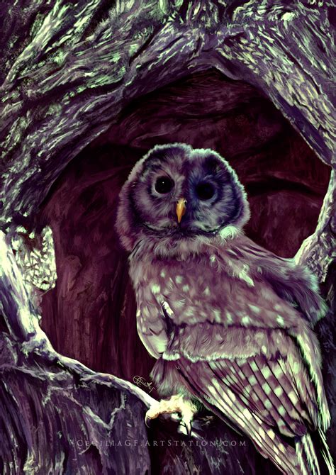 Фото Сова в дупле, by Cecilia G. F