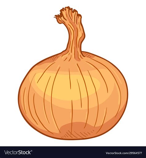 Animated Onion